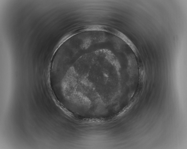 X0000116481002200912161248