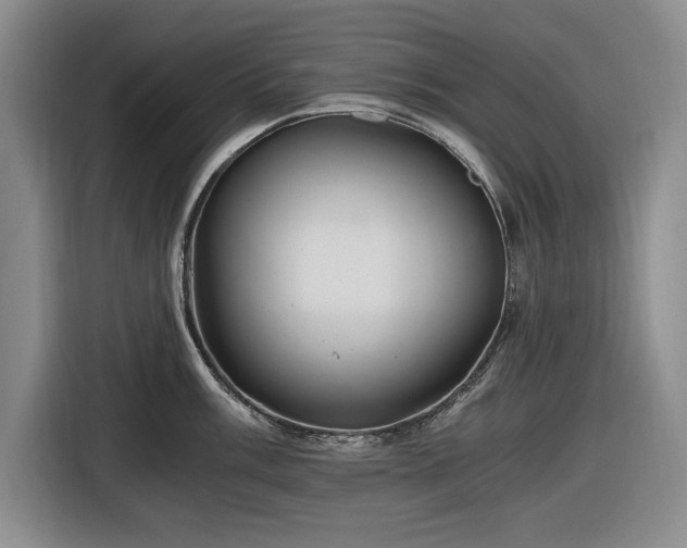 X0000116481003200912161248