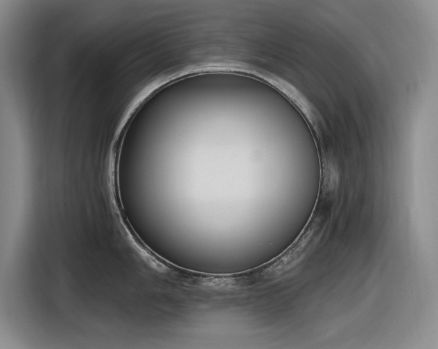 X0000116481006200912161248