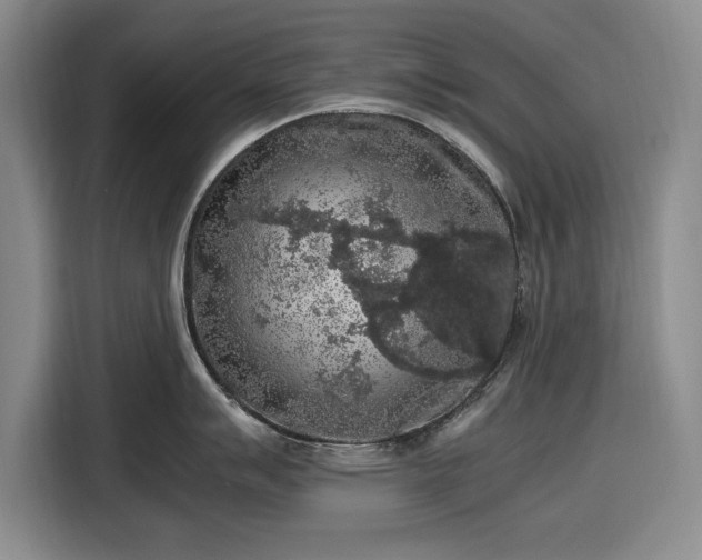 X0000116481007200912161248