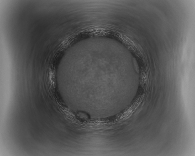 X0000116481010200912161248