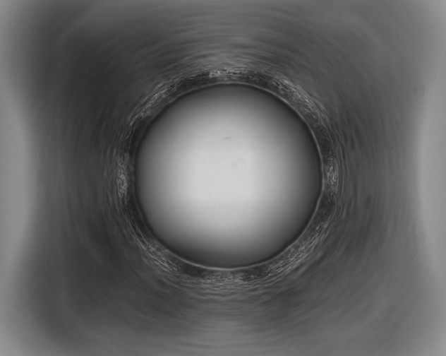 X0000116481012200912161248