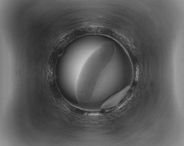 X0000116481013200912161248