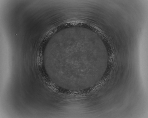 X0000116481014200912161248