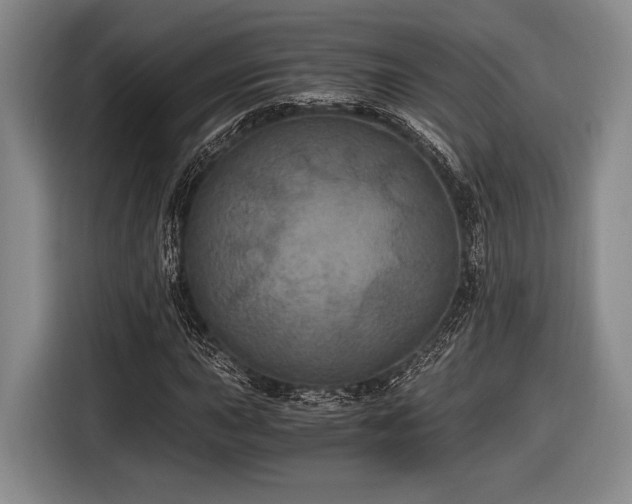 X0000116481015200912161248