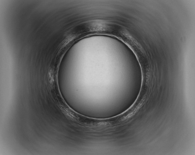 X0000116481017200912161248