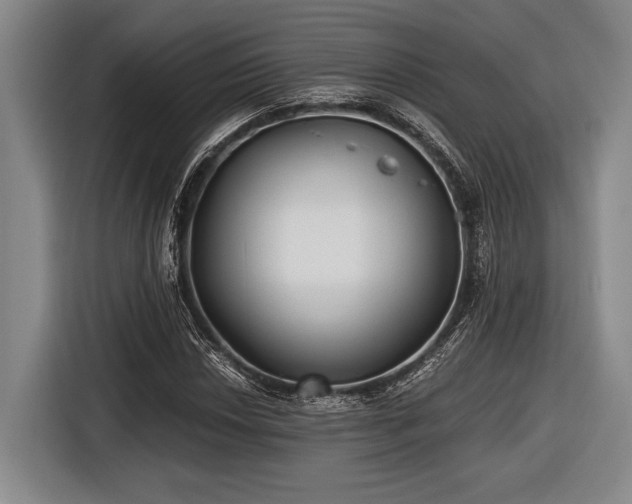 X0000116481018200912161248