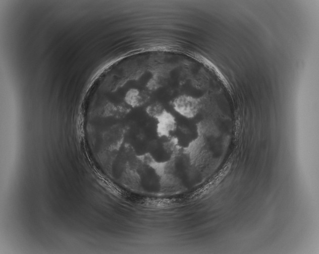 X0000116481019200912161248