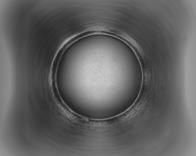 X0000116481020200912161248