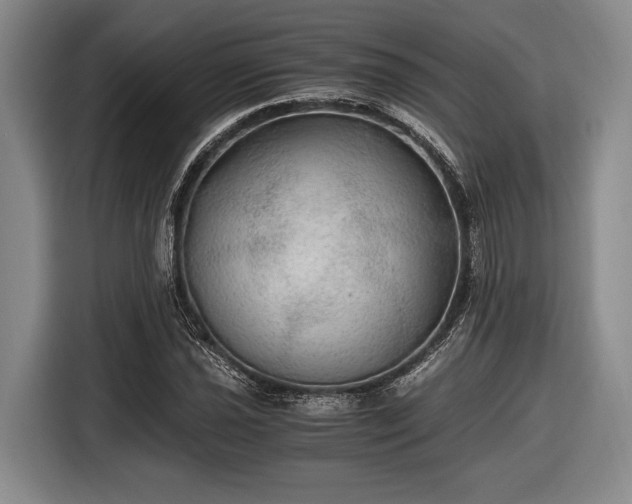 X0000116481021200912161248