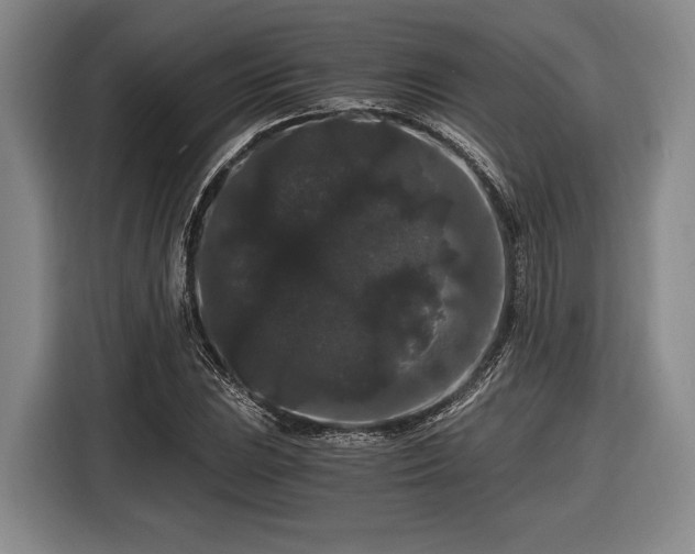 X0000116481023200912161248