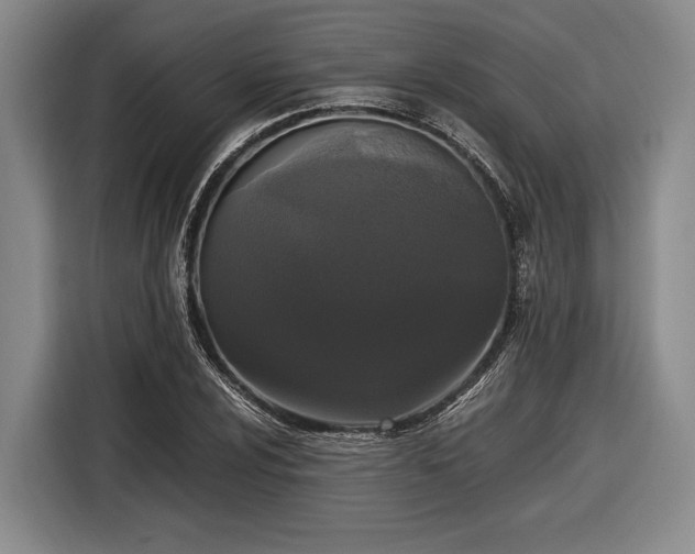 X0000116481024200912161248