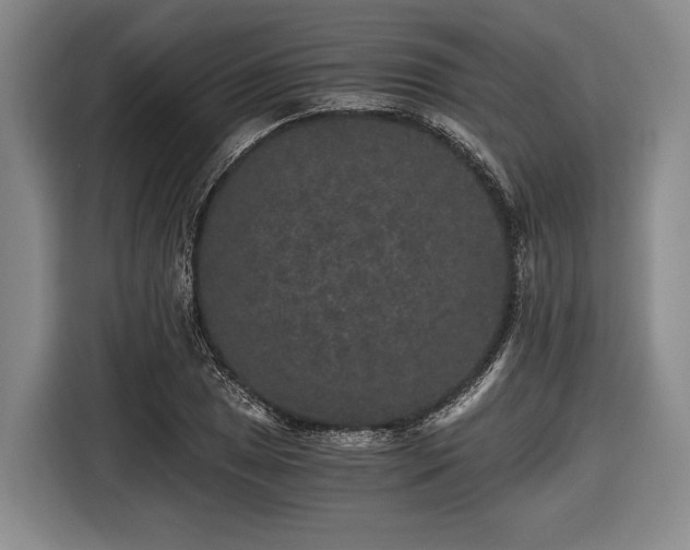 X0000116481025200912161248