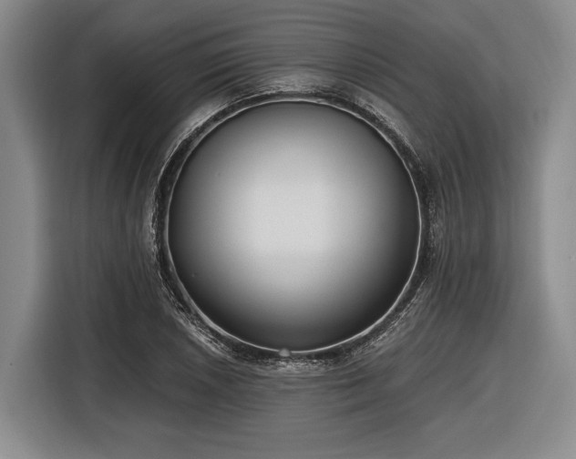 X0000116481026200912161248