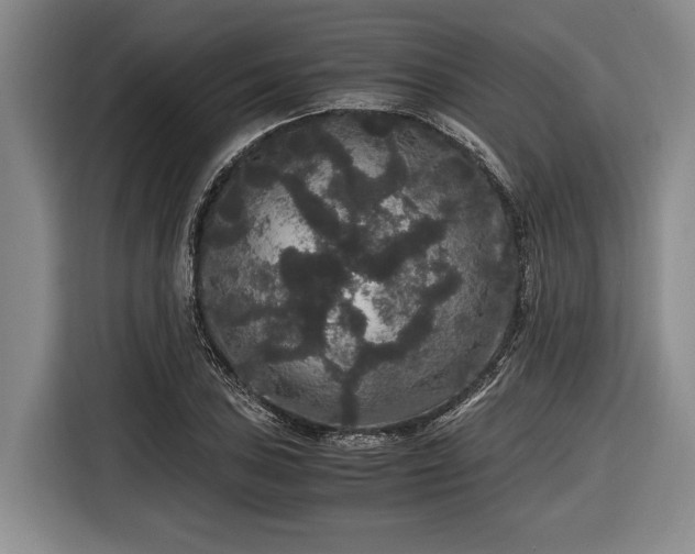 X0000116481027200912161248