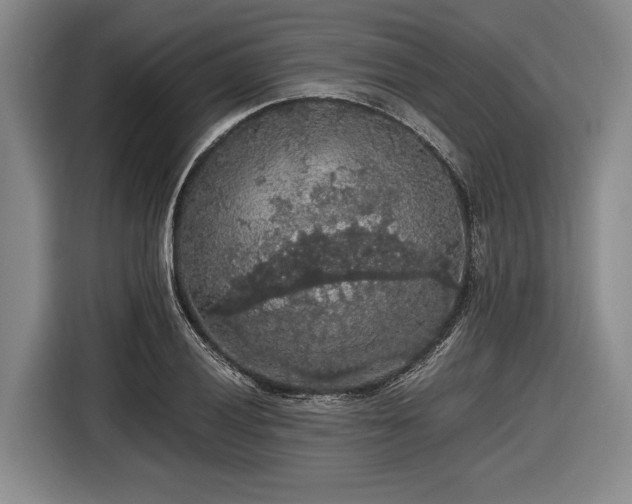 X0000116481028200912161248