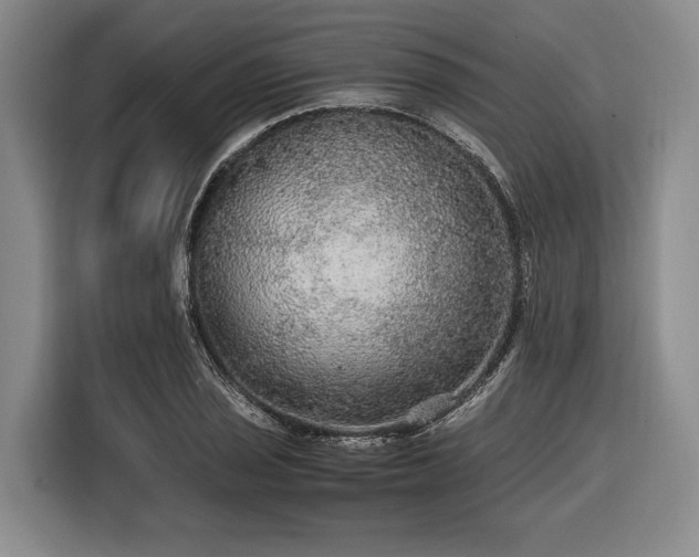 X0000116481029200912161248