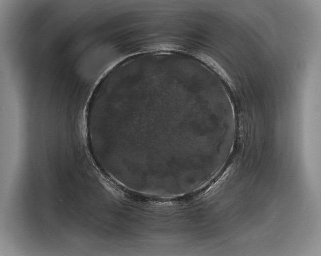 X0000116481031200912161248