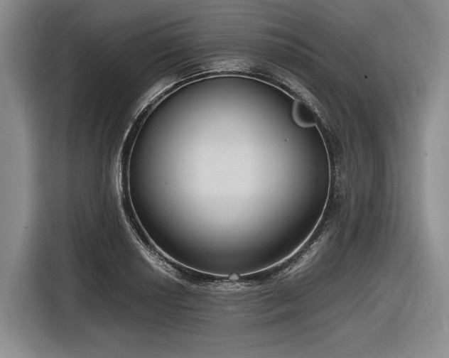 X0000116481034200912161248