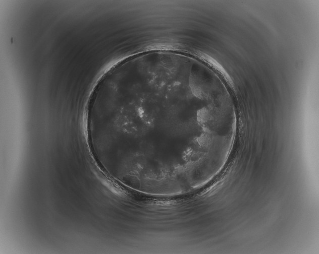 X0000116481035200912161248