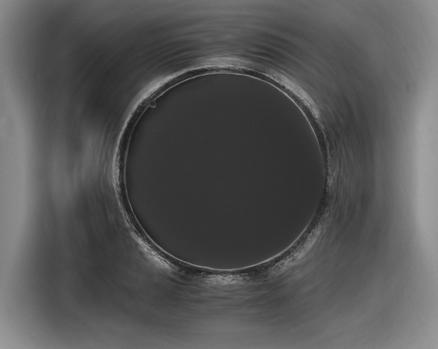 X0000116481037200912161248