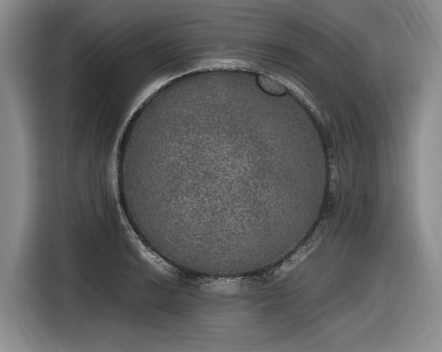 X0000116481038200912161248