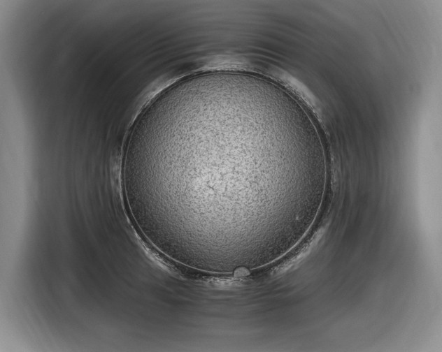 X0000116481041200912161248