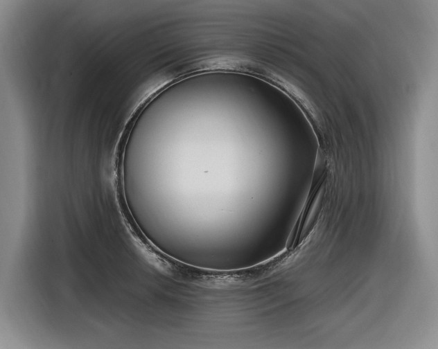 X0000116481042200912161248