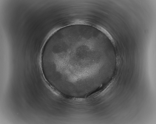 X0000116481043200912161248