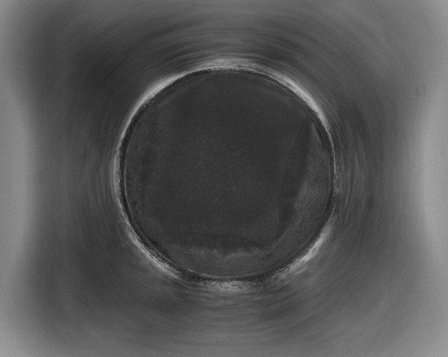 X0000116481045200912161248