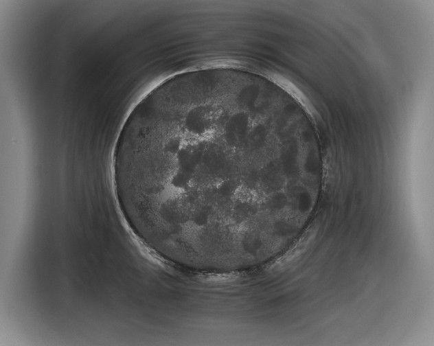 X0000116481047200912161248