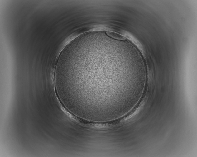 X0000116481049200912161248