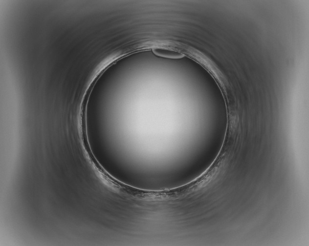 X0000116481050200912161248