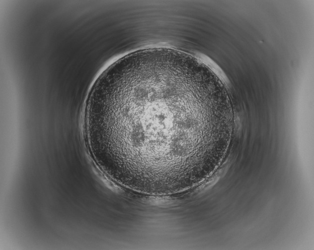 X0000116481052200912161248