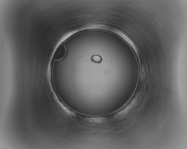 X0000116481053200912161248