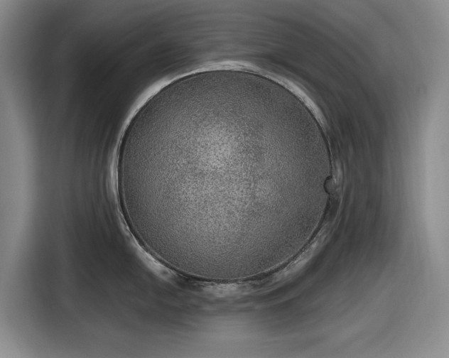 X0000116481054200912161248