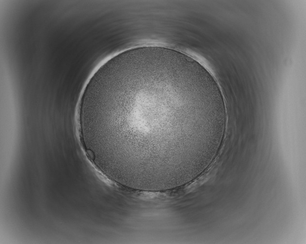 X0000116481056200912161248