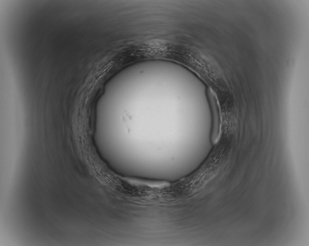 X0000116481057200912161248