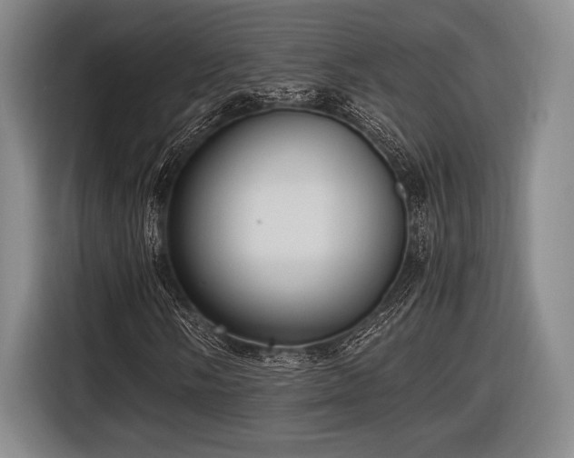 X0000116481058200912161248