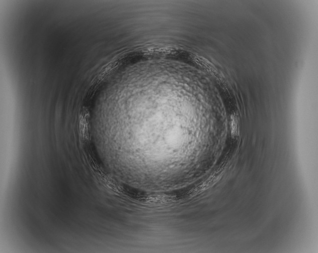 X0000116481059200912161248