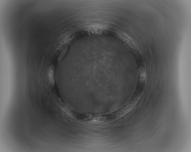 X0000116481060200912161248