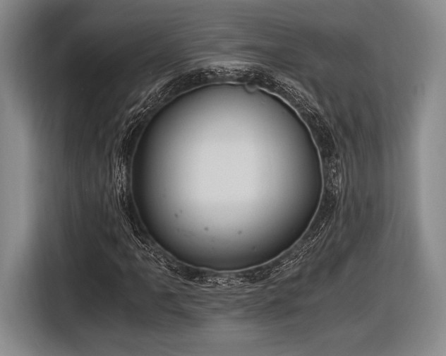 X0000116481061200912161248