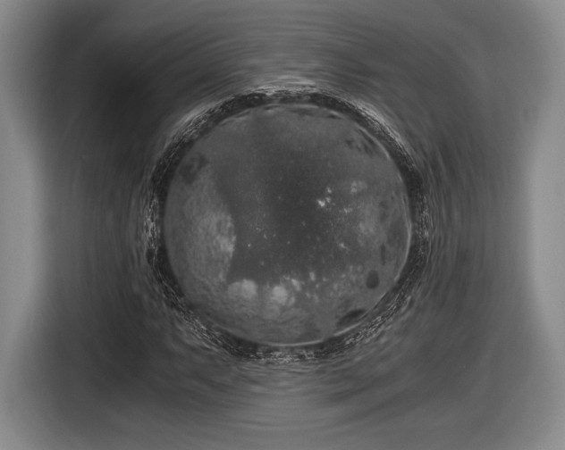 X0000116481063200912161248