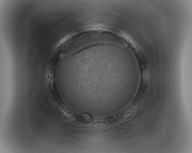 X0000116481064200912161247