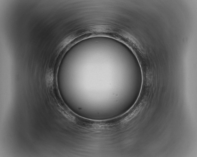 X0000116481065200912161247