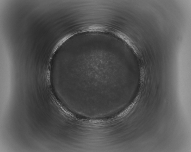 X0000116481066200912161247