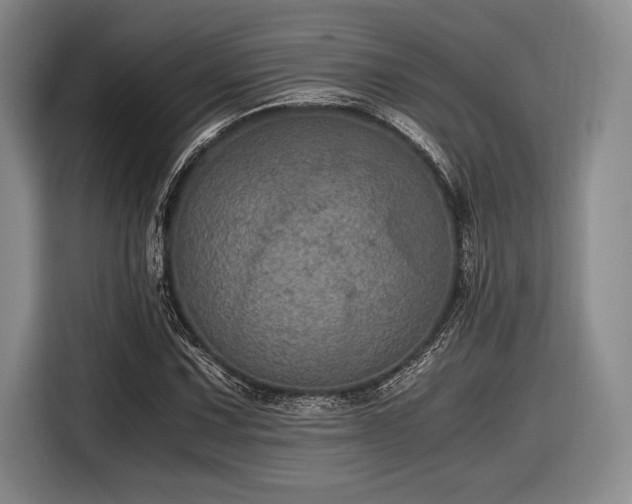 X0000116481067200912161247