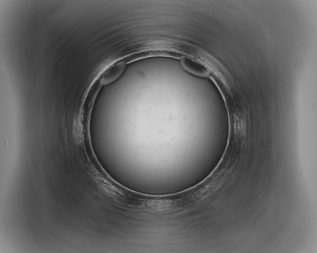 X0000116481068200912161247