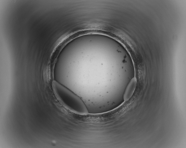 X0000116481069200912161247