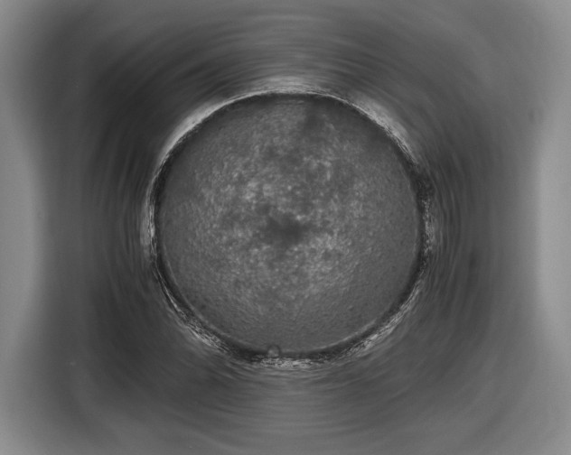 X0000116481070200912161247